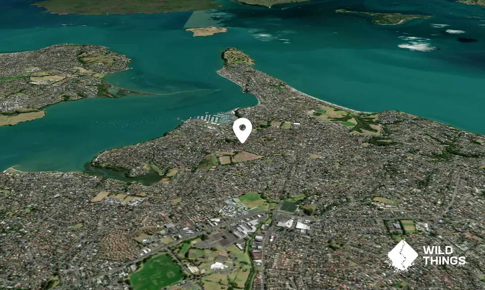 Ōruarangi / Pigeon Mountain