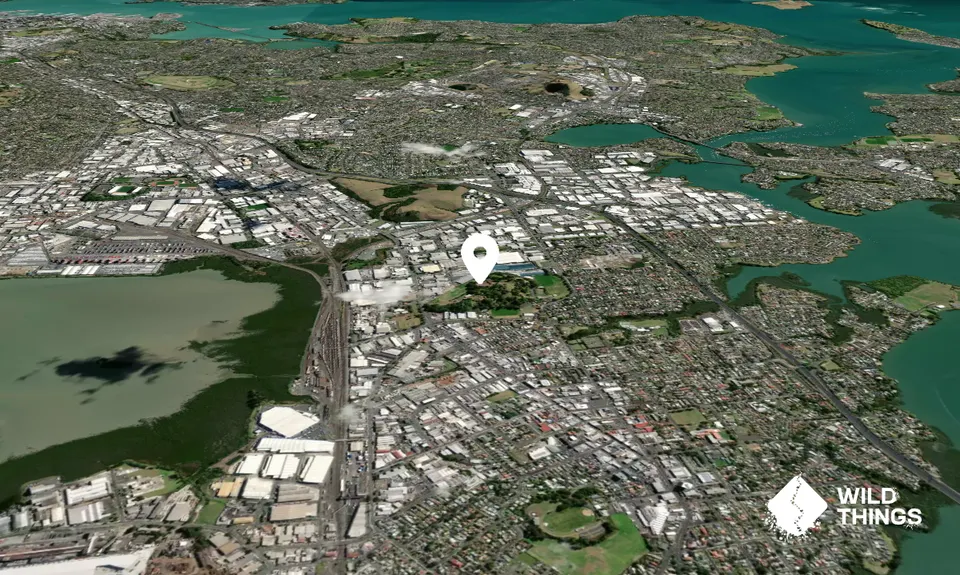 Otahuhu/Mount Richmond