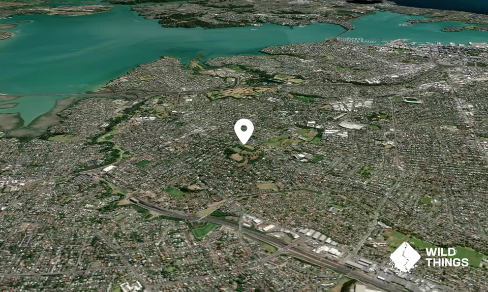 Owairaka/Mount Albert