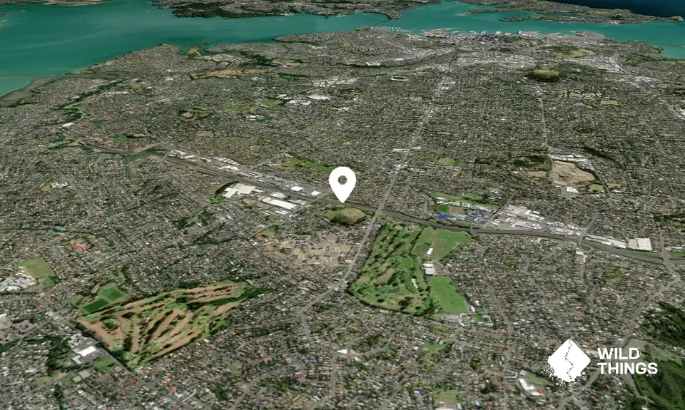 Puketapapa/Mount Roskill