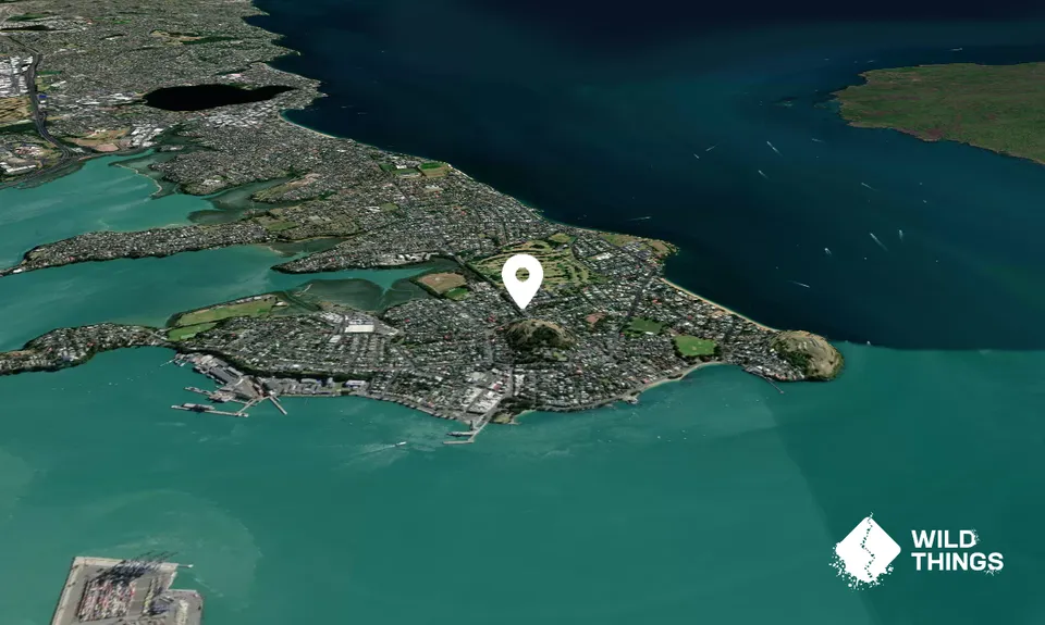 Takarunga/Mount Victoria