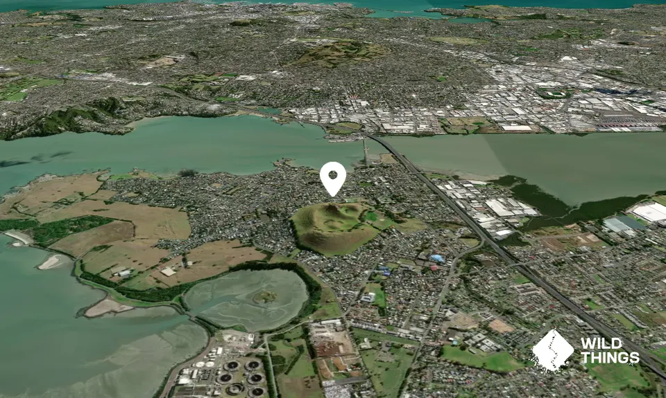 Te Pane-o-Mataaho/Mangere Mountain