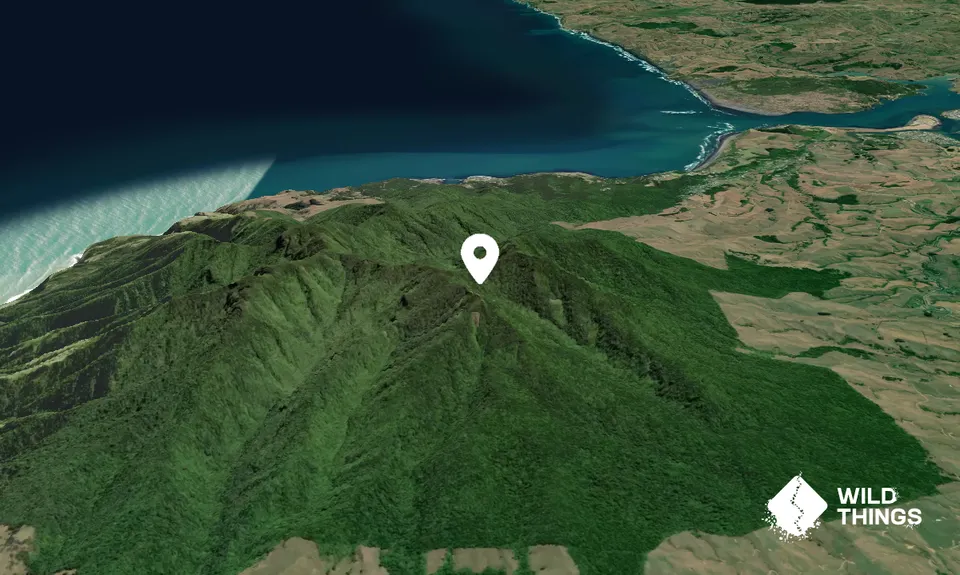 Mount Karioi