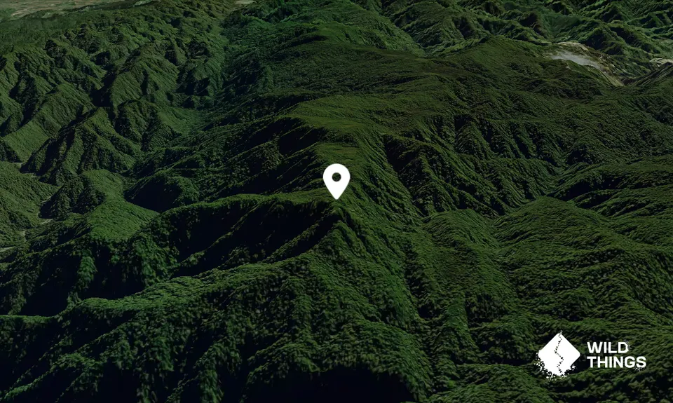 Kaharoa