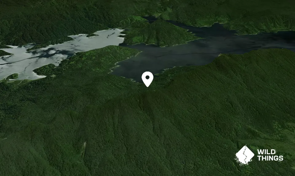 Puketapu