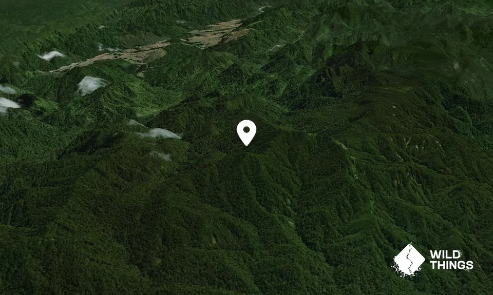Whakataka