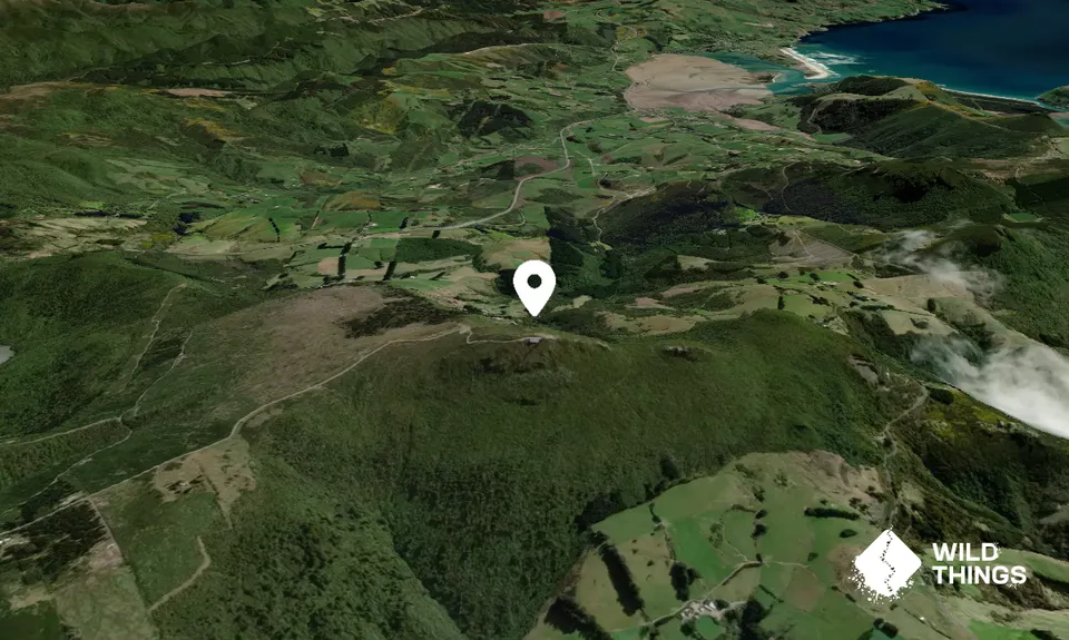 Mount Cargill