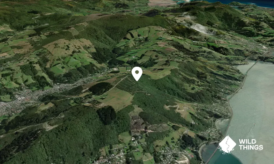 Signal Hill