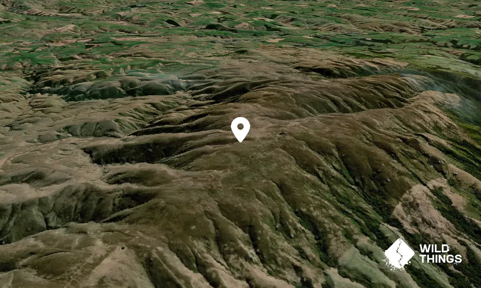 Maungatua