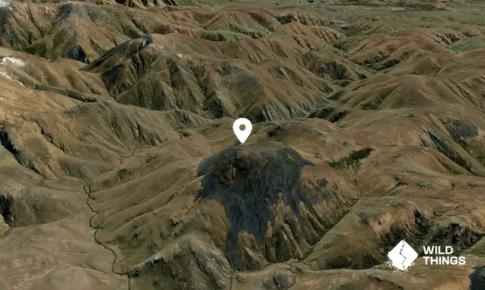 Mount Dasher