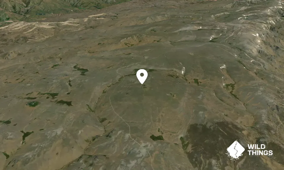 Mount Dottrel 