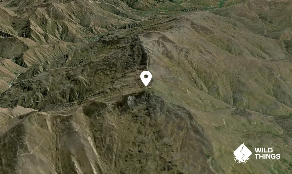 Mount Allen 