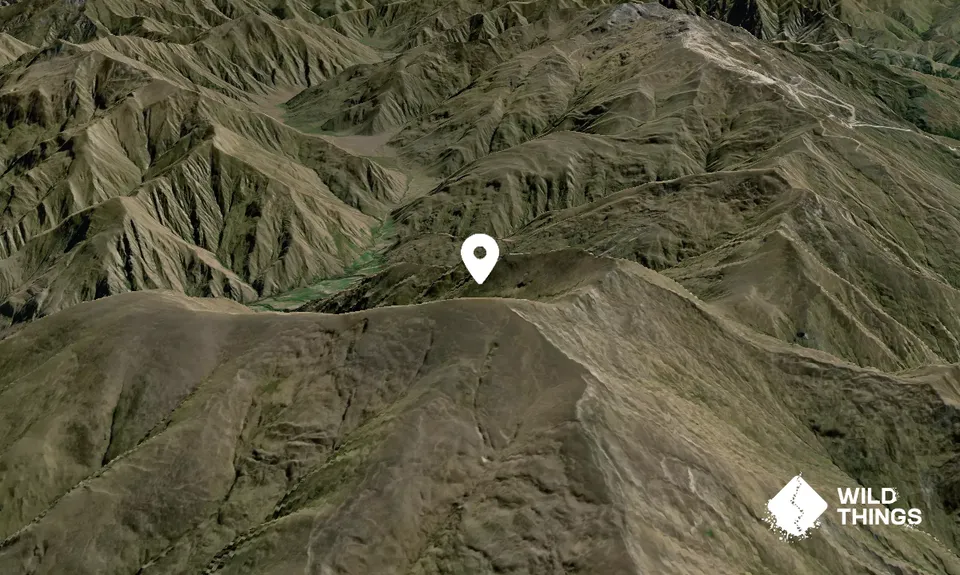 Mount Sale