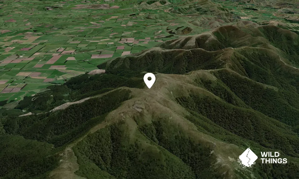 Tapanui Hill