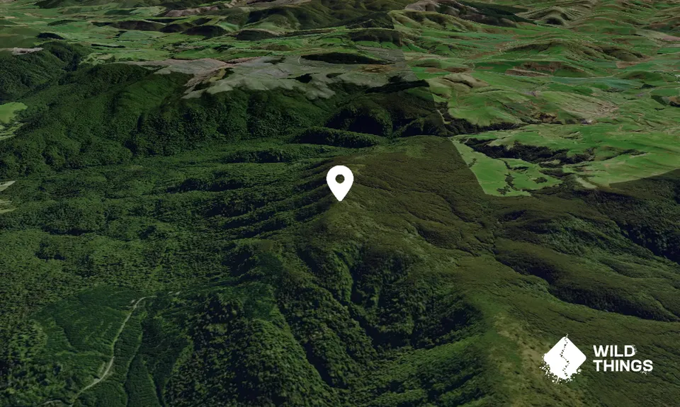 West Peak - Hokonui Forest