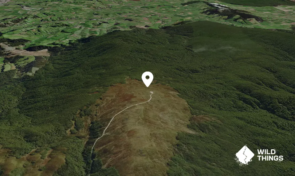 Bald Hill