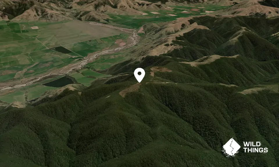 Mount Richardson