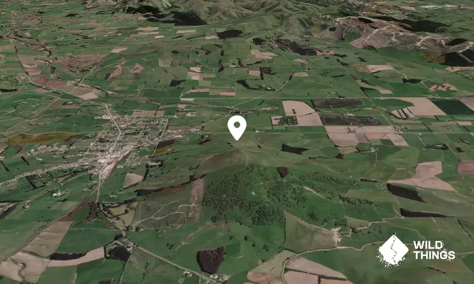 Puketapu