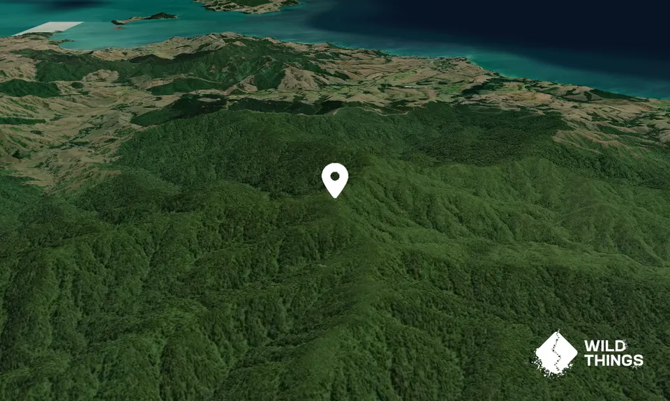 Kohukohunui