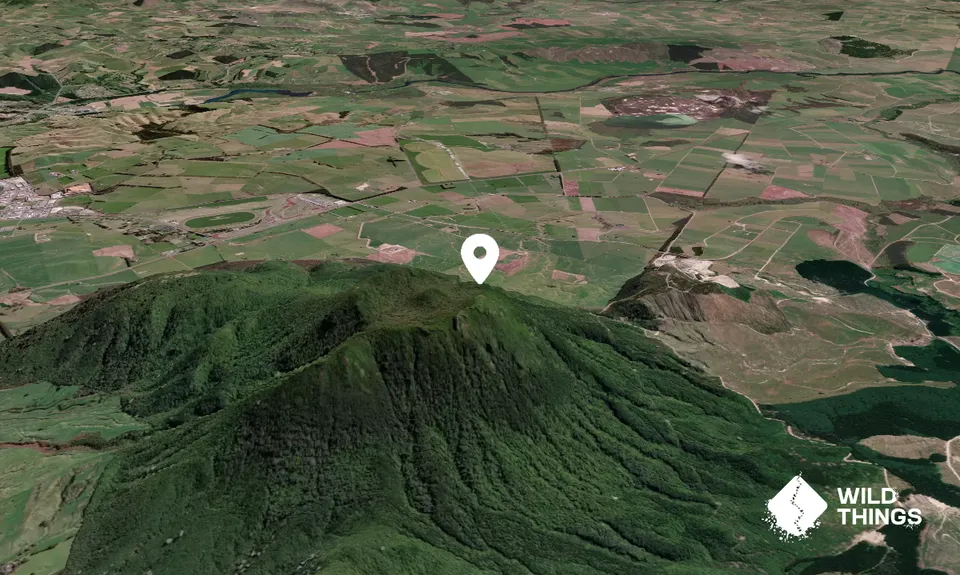 Tauhara