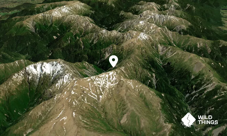 Tiraha