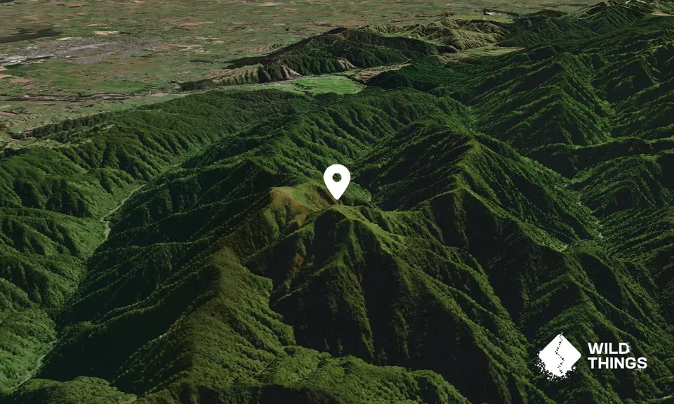 Twin Peak