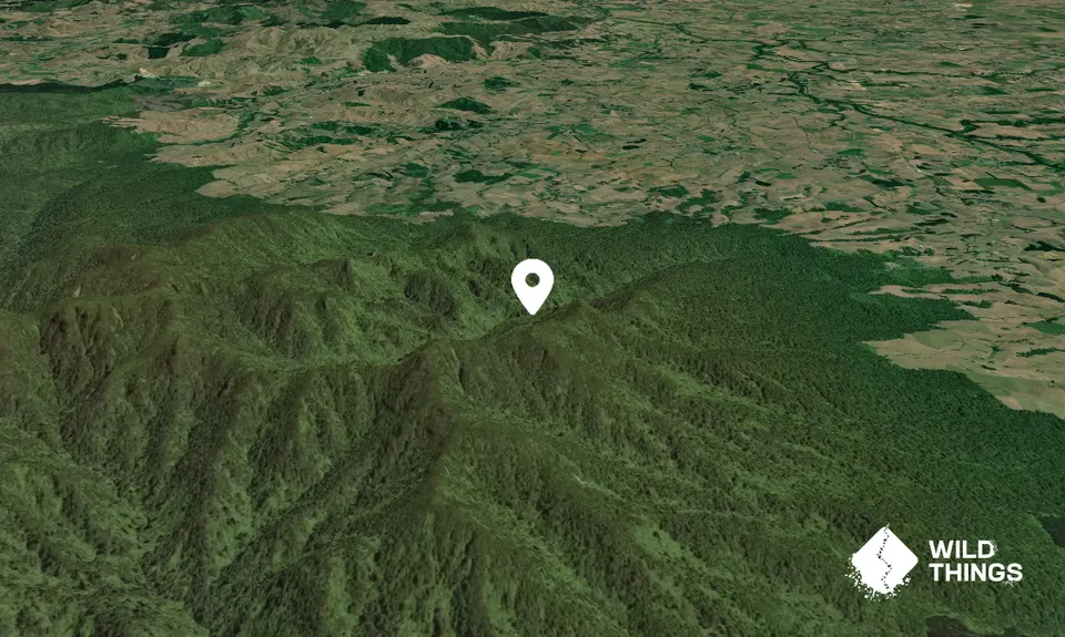 Mahaukura