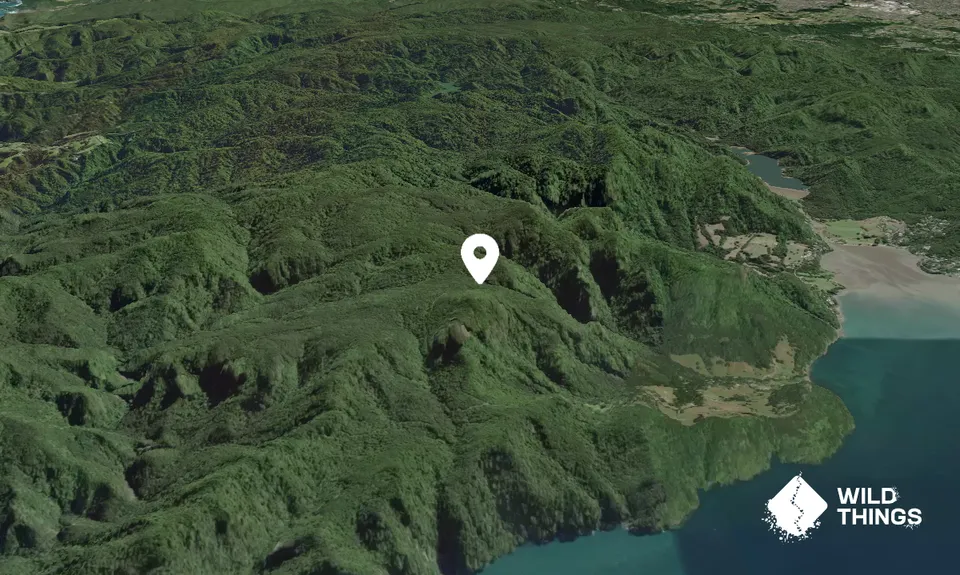 Te Rau-o-te-Huia/Mount Donald McLean