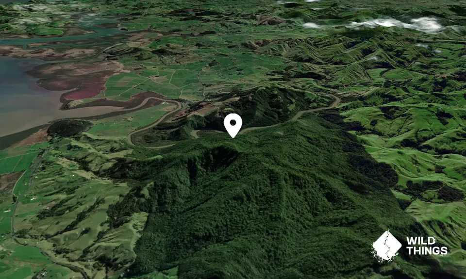 Mount Auckland