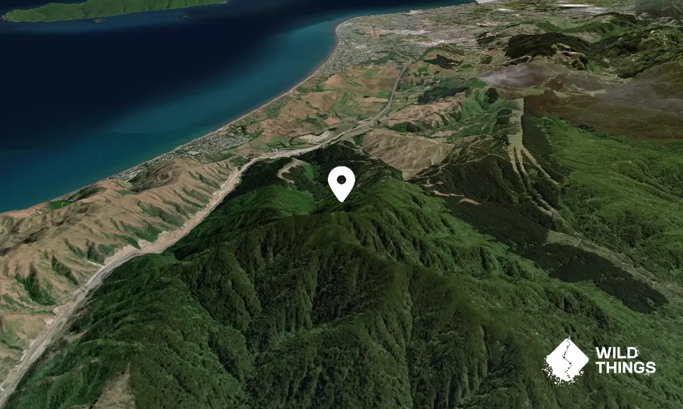 Wainui