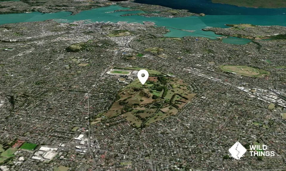 Maungakiekie/One Tree Hill
