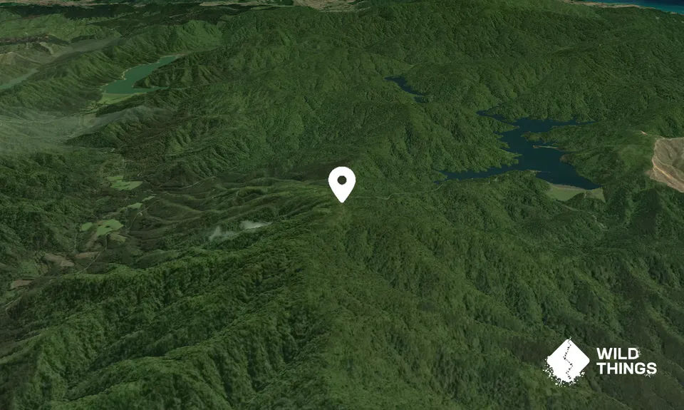 Mangatangi