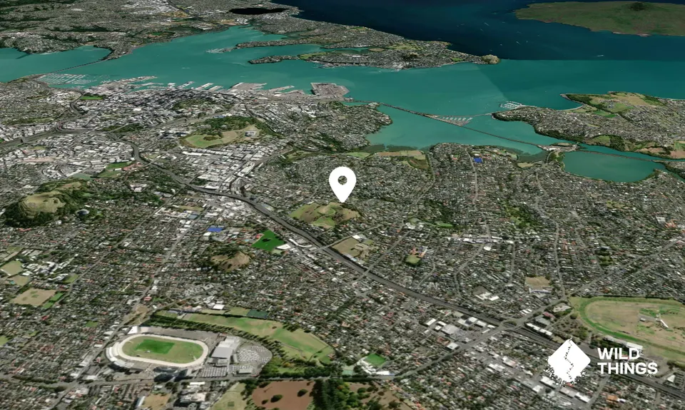 Ohinerau/Mount Hobson