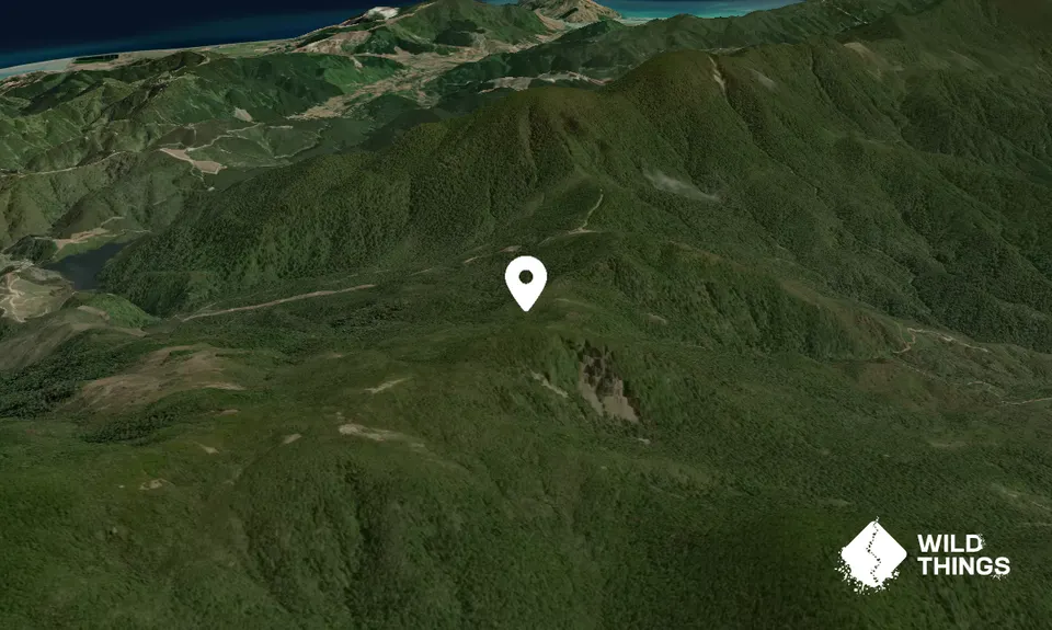 Maungatapu