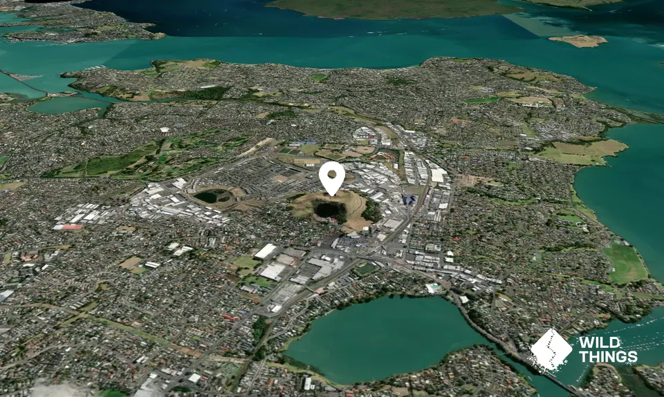 Maungarei/Mount Wellington