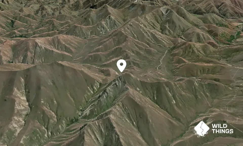 Double Peak