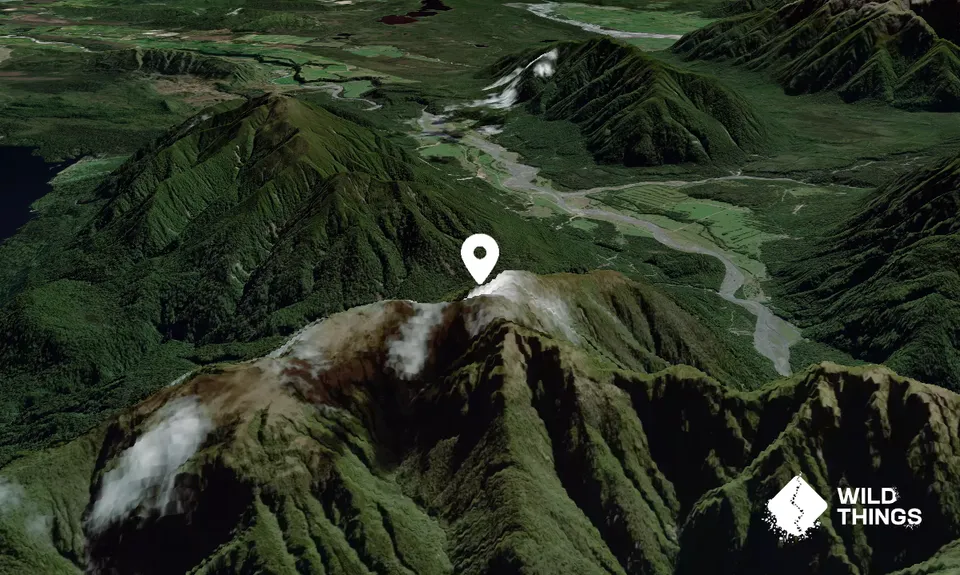 Mount Brown
