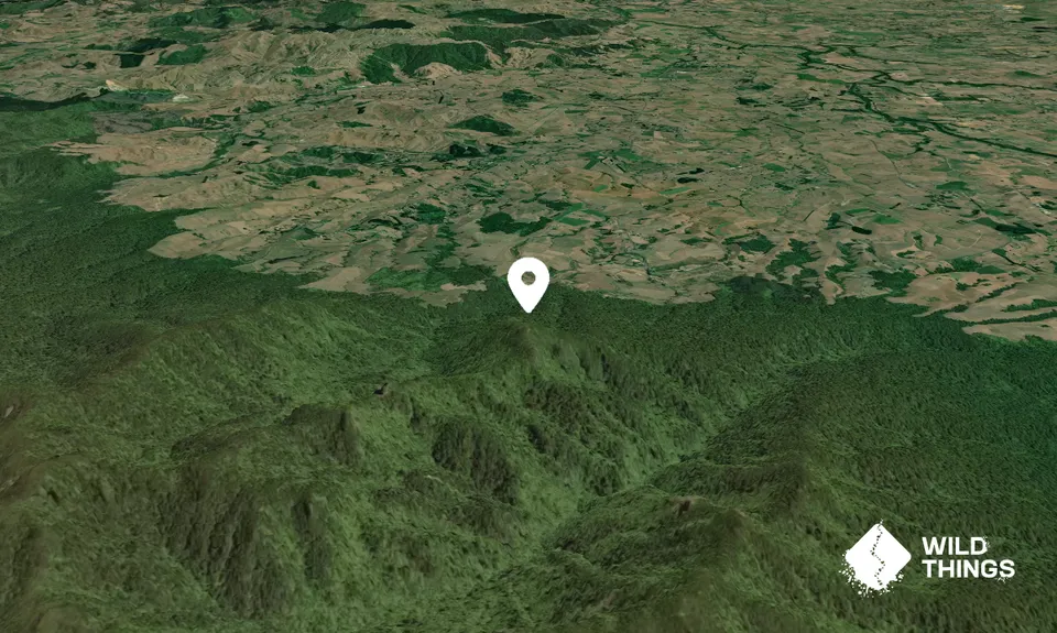 Ruapane
