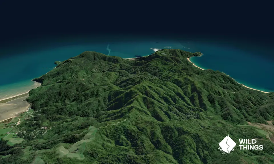 Gibbs Hill