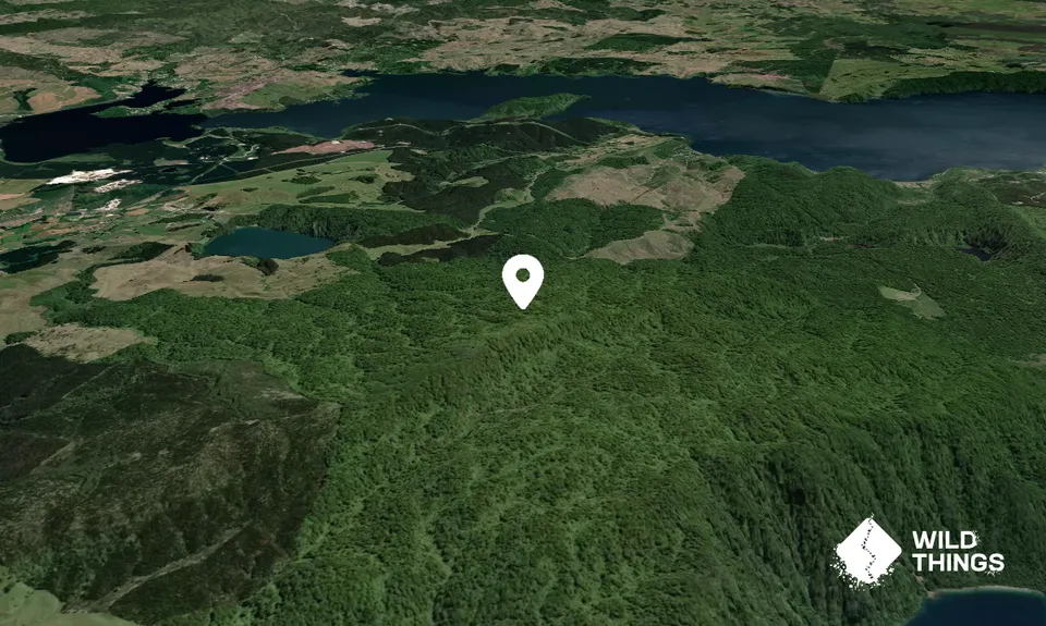 Rangitoto Peak