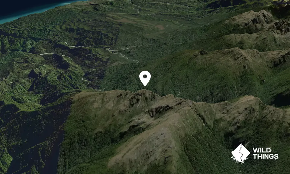 Mount Bovis 