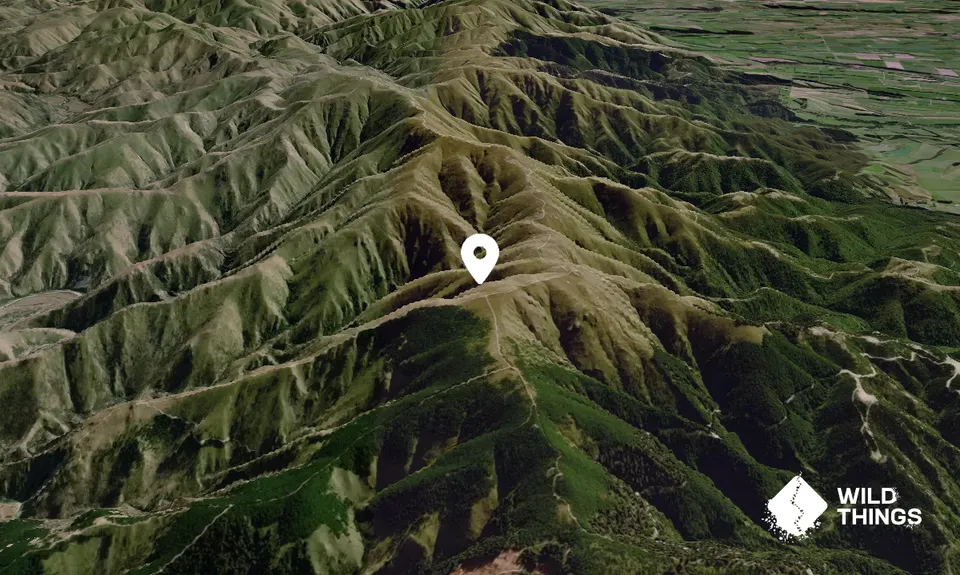Mt. Shrives