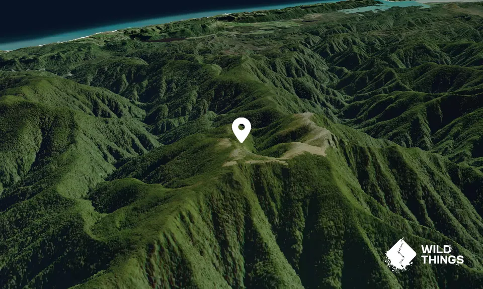 Mt Stevens