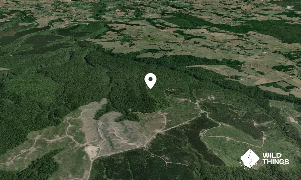 Pūwhenua