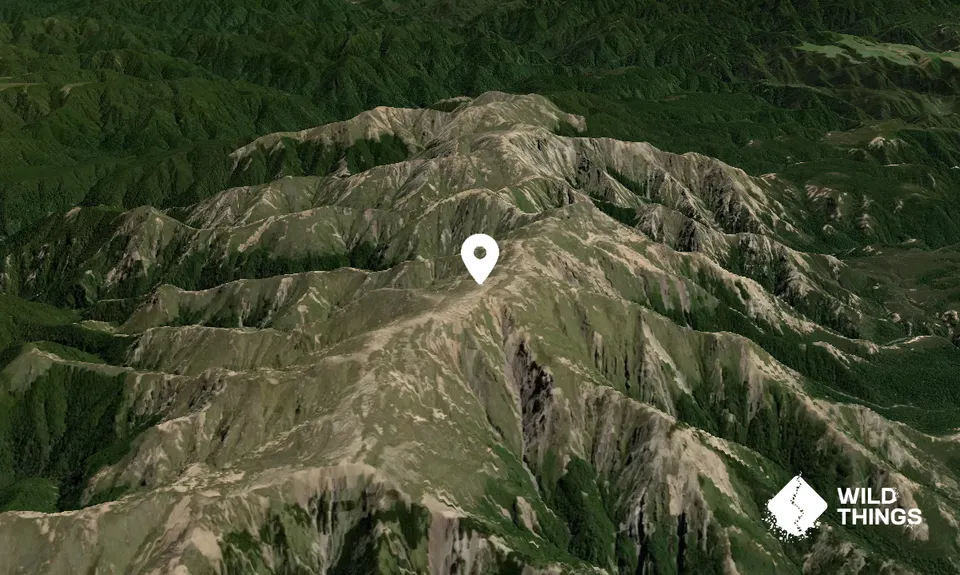 Kaweka
