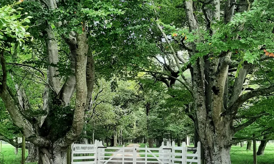 Blandswood and Brunch, Canterbury