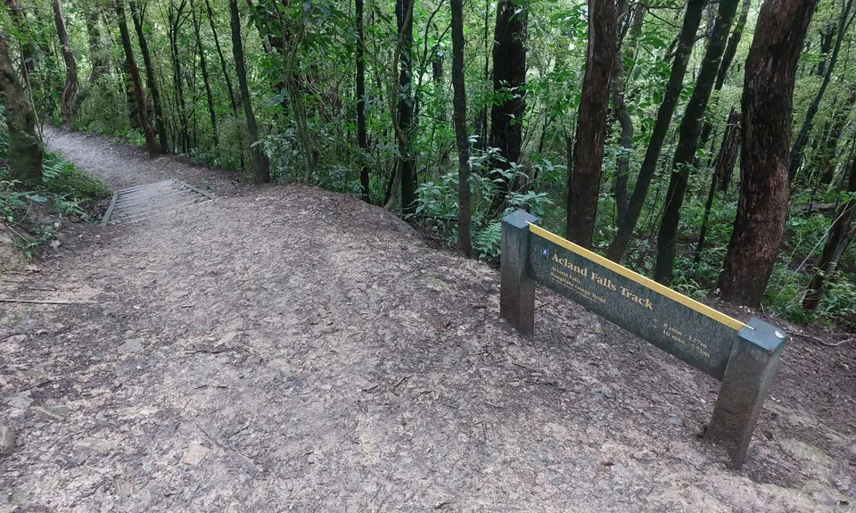 Peel Forest Rounds, Canterbury
