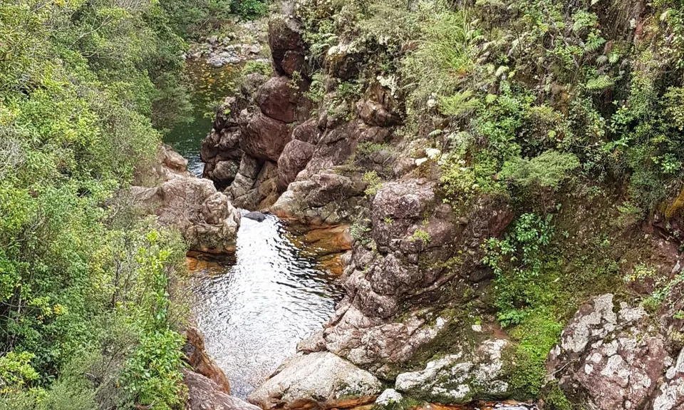 Wharekirauponga Track, Waikato