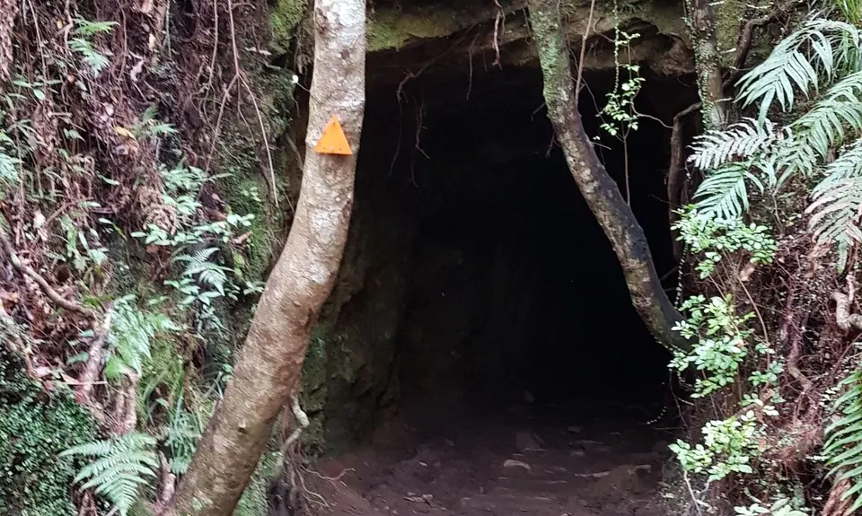 Wharekirauponga Track, Waikato