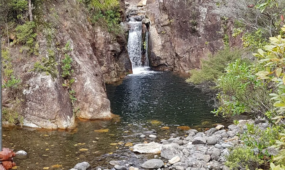 Wharekirauponga Track, Waikato